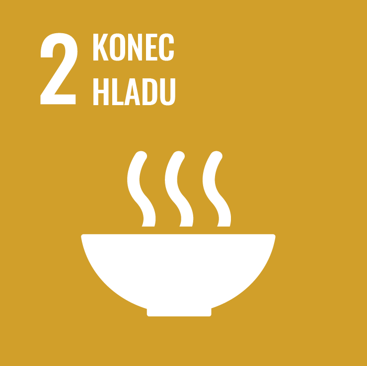 SDG cíl 2