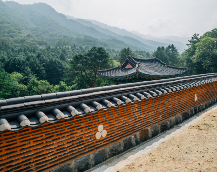 literární rezidence wondžu